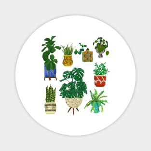 Mcm pottery and plants Magnet